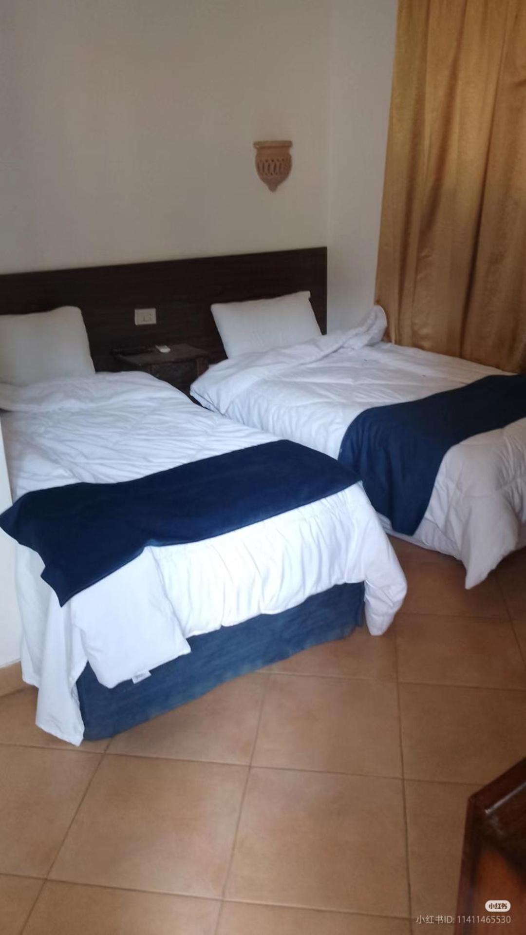 Sofia Guest House Luxor Bagian luar foto