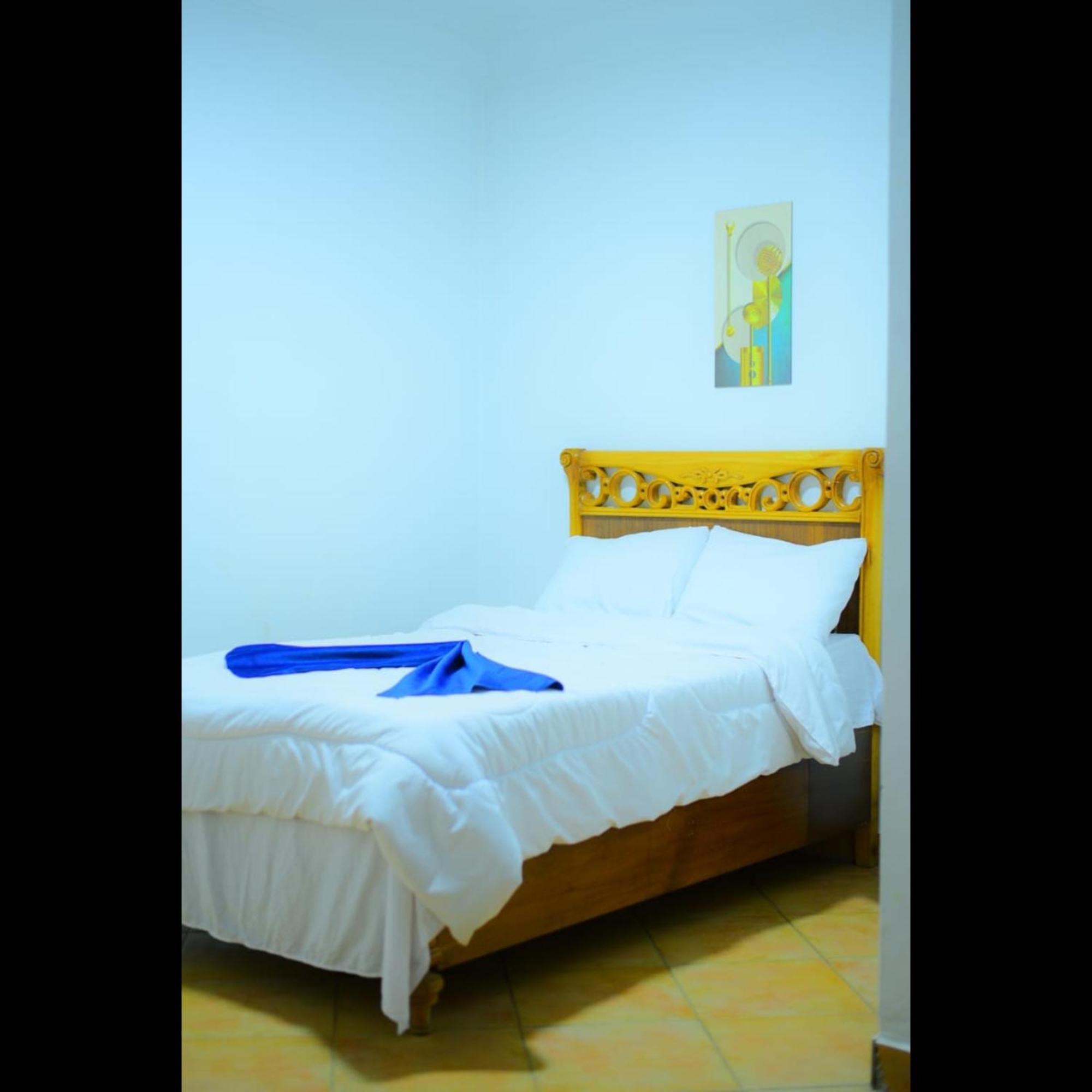 Sofia Guest House Luxor Bagian luar foto